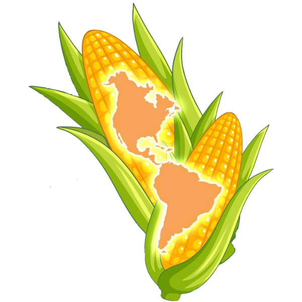 ¡Bienvenidos a Nuestro Nuevo Hogar Digital!